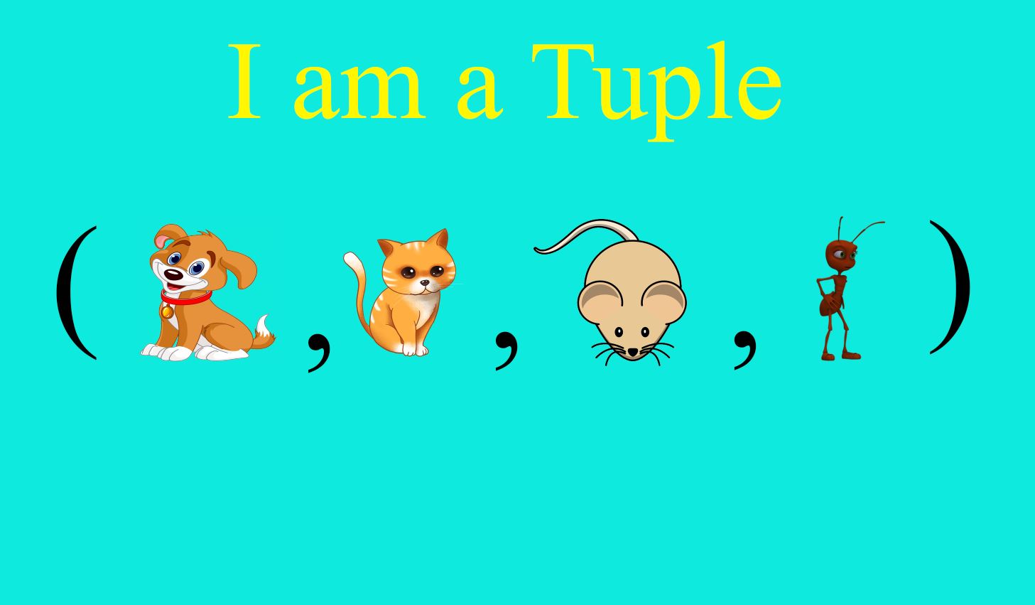 Python Tuples